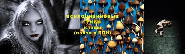 спайс Аркадак