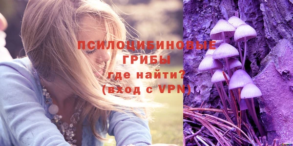 Альфа ПВП Арсеньев