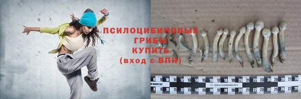 Альфа ПВП Арсеньев