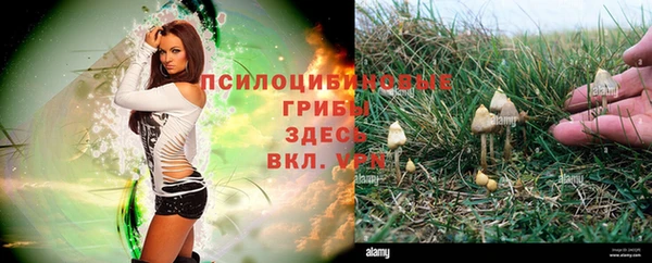 таблы Балахна