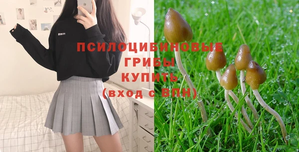 спайс Аркадак